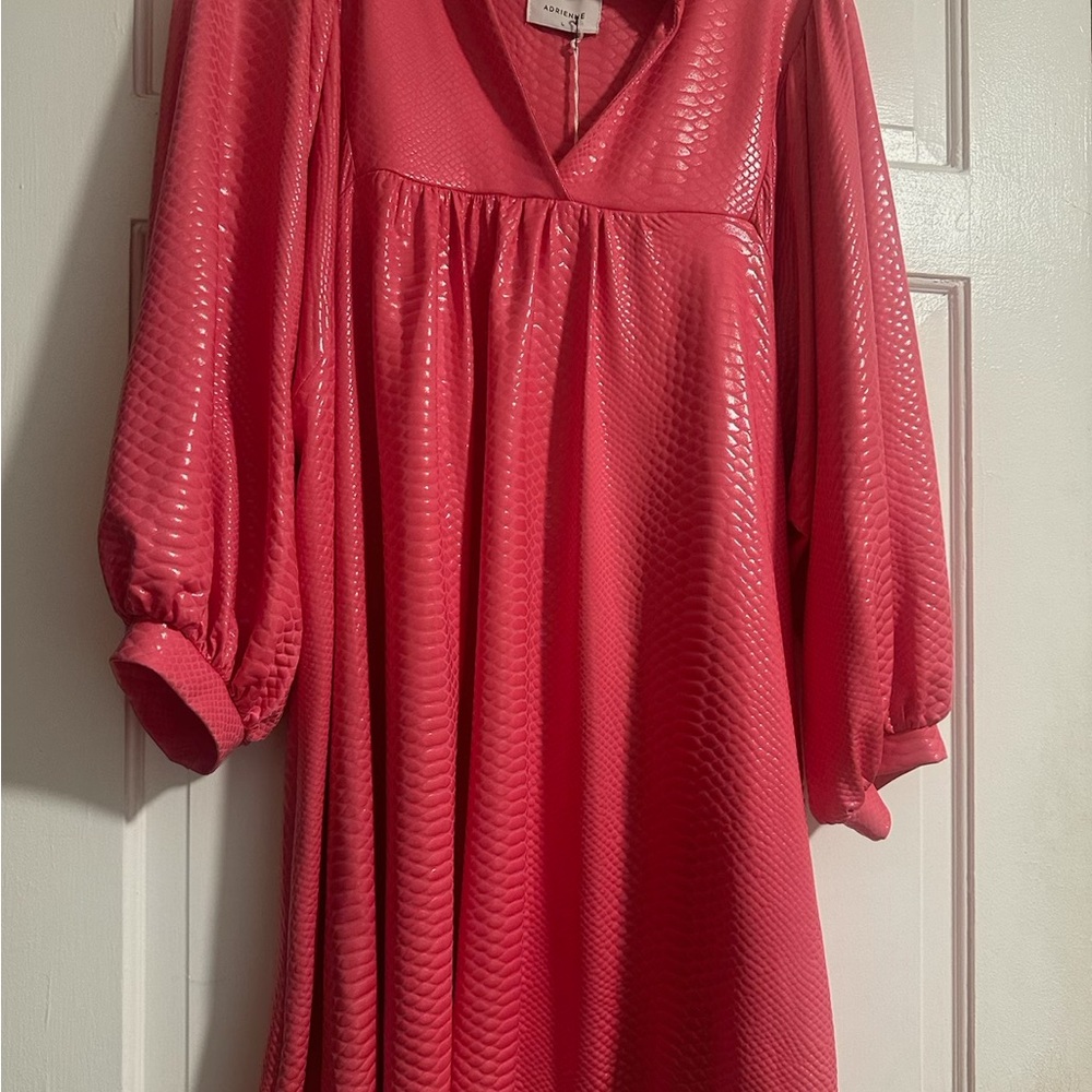 Adrienne Shimmering Pink Dress